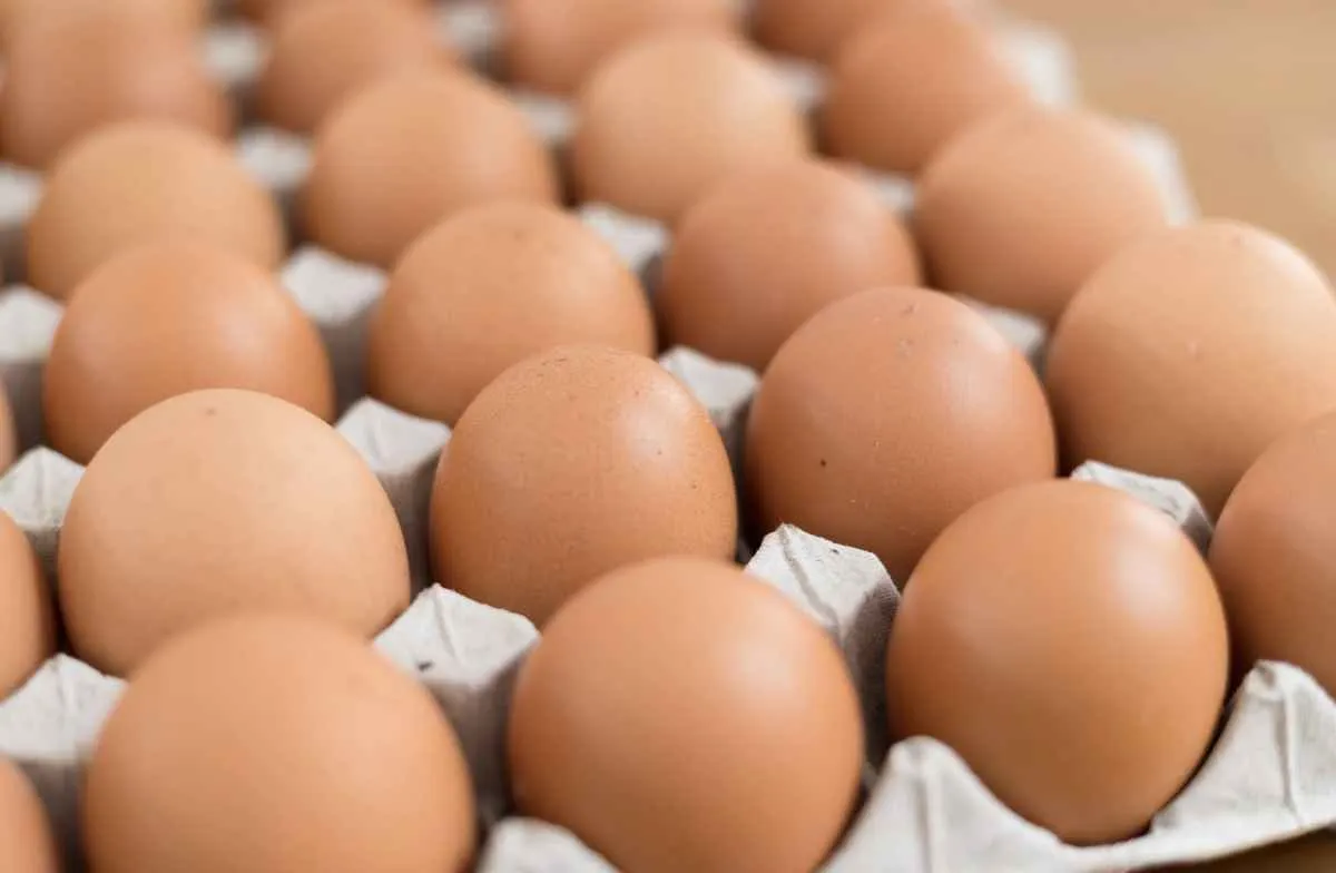 Avicultores enfrentam menor poder de compra frente ao farelo de soja em três meses