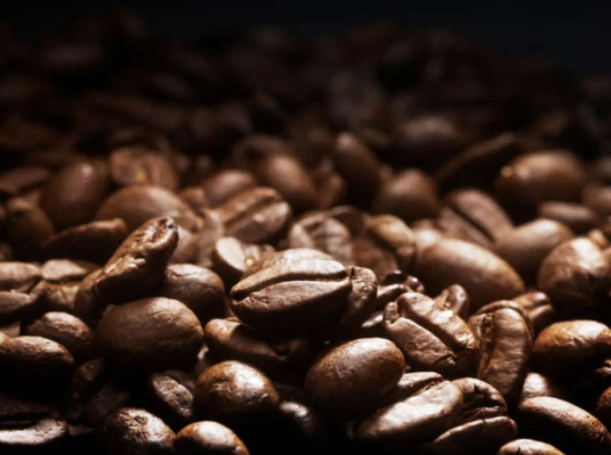 Importações em baixa derrubam estoques de café na Europa