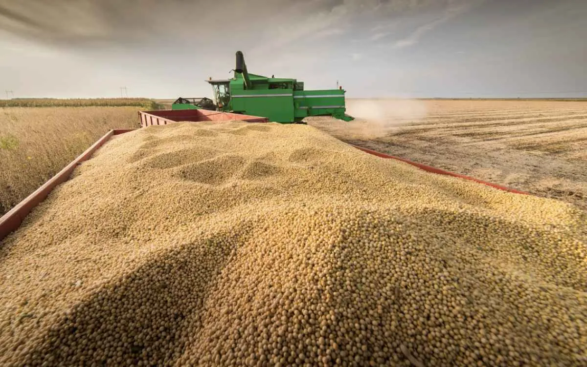 Safra de grãos pode alcançar 327,6 milhões de toneladas em 2025, aponta IBGE