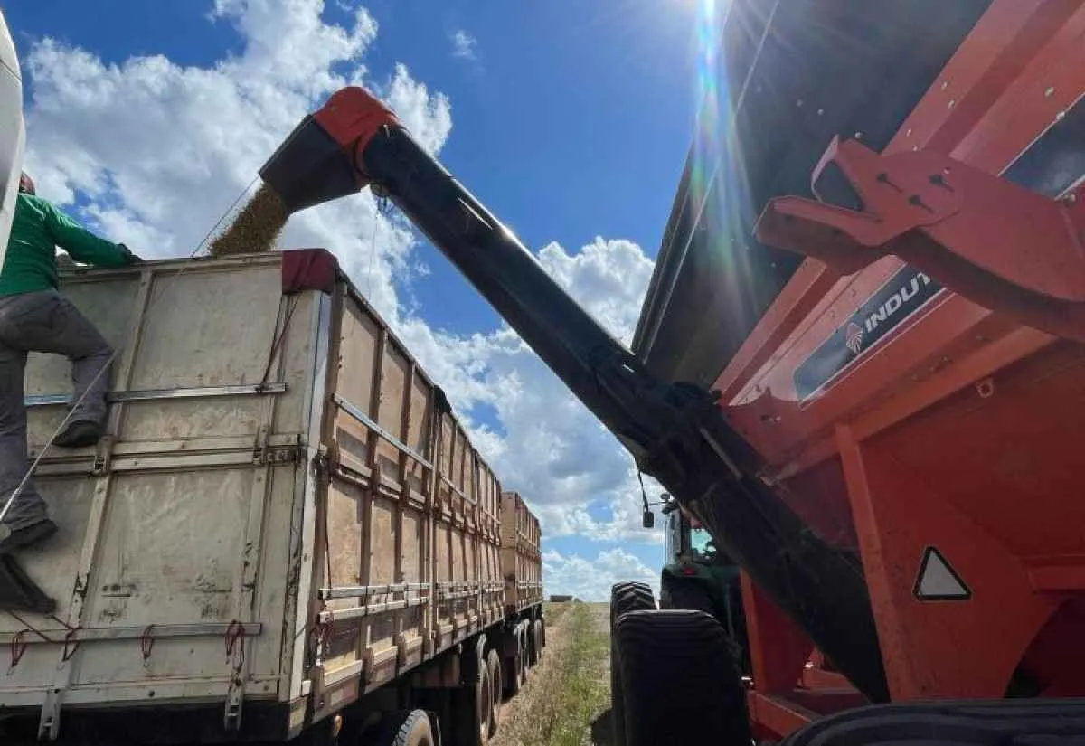 Colheita da soja atinge 99,1% da área em MS e projeta aumento na produção