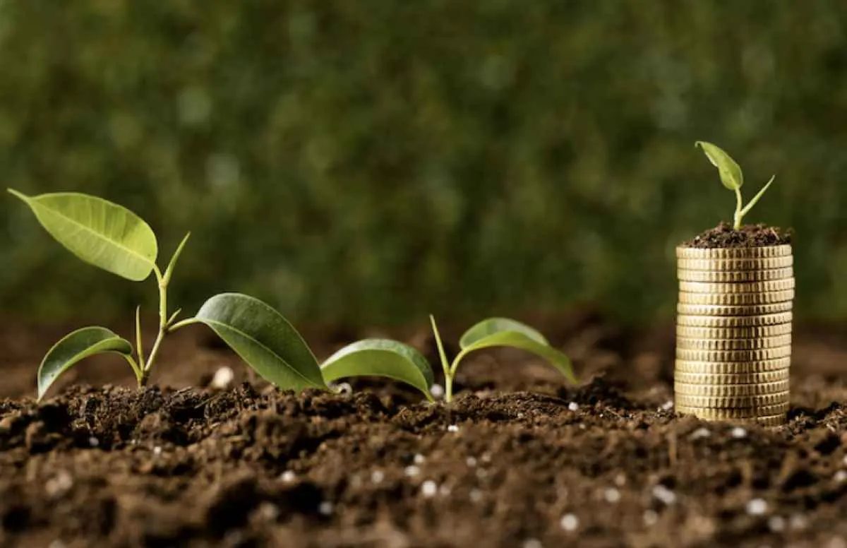 PIB deve crescer 2,3% em 2025, menor avanço em cinco anos