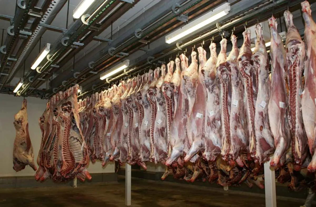 Demanda externa e oferta limitada mantêm preços da carne bovina em alta