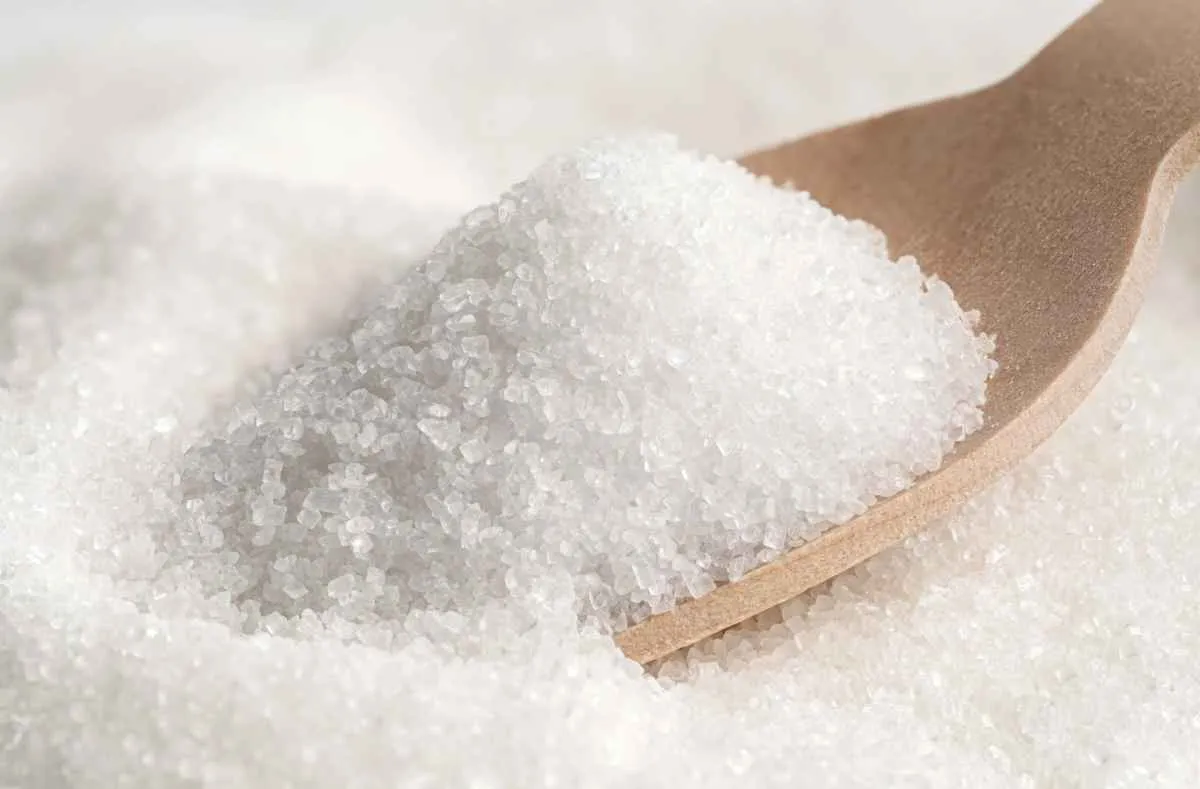 Com nova valorização, indicador do açúcar cristal ultrapassa R$ 144 por saca