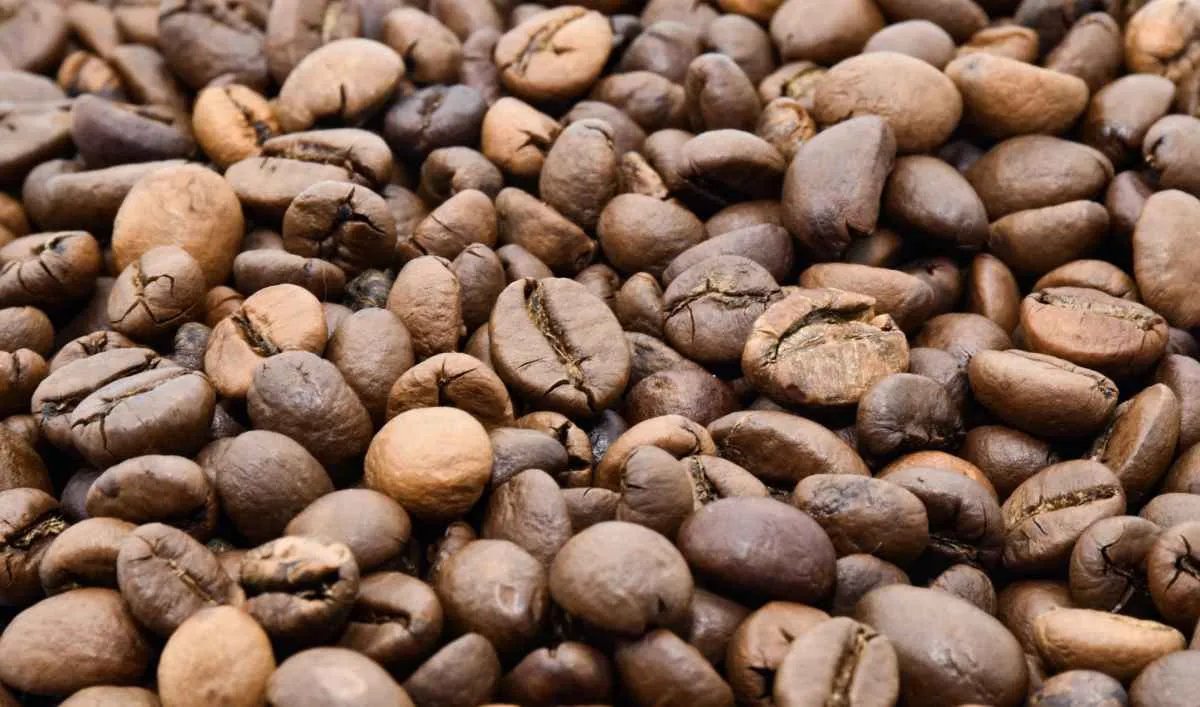 Alta nos preços do café pode afetar consumo no Brasil e no mundo