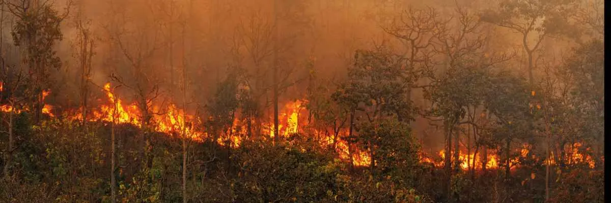 FAEP amplia equipe para enfrentar incêndios no campo