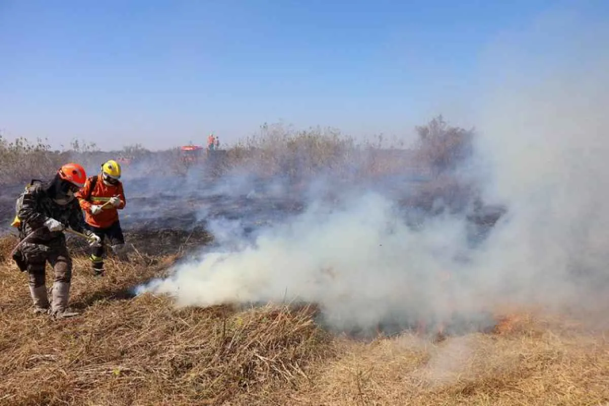 MS declara emergência ambiental e reforça alerta a produtores rurais