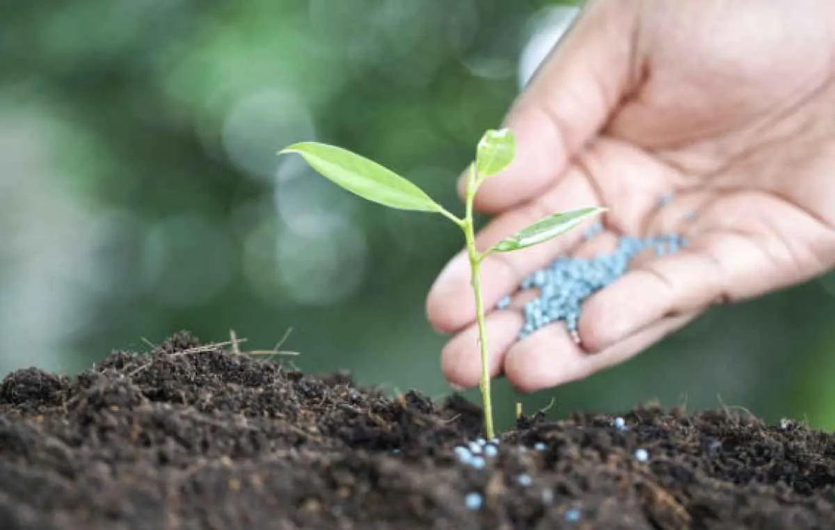 Entregas de fertilizantes registram leve queda de 0,1% em janeiro