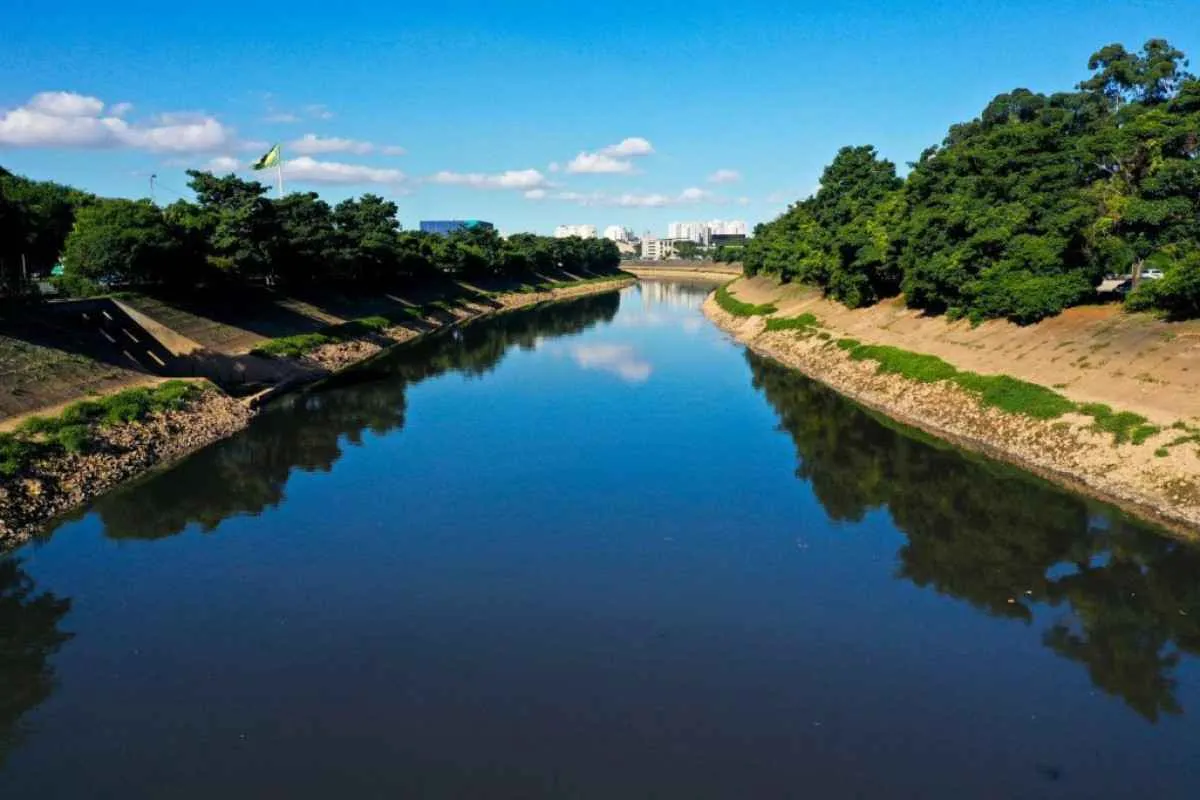 Governo de SP R$ 2,5 mi afetados por mortandade de peixes no Tietê