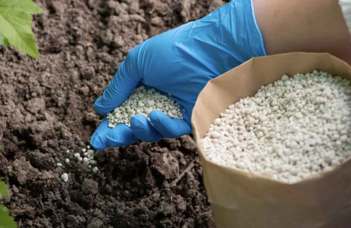 Custo elevado de fertilizantes ameaça produtividade e pressiona preços dos alimentos