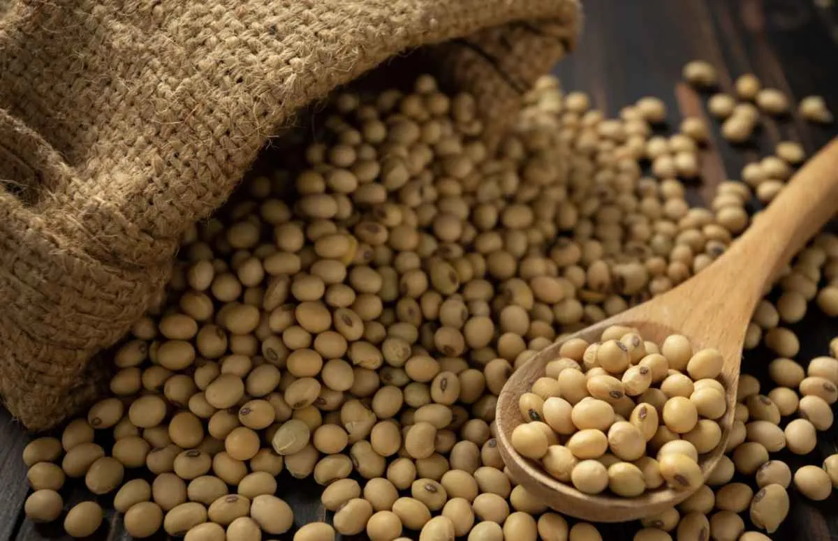 Novas tarifas devem ampliar pressão sobre preços da soja