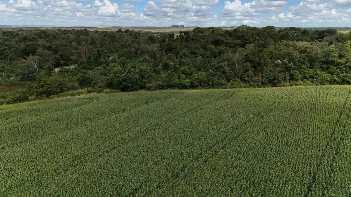 Aprosoja MT defende aprovação de novo marco do Licenciamento Ambiental no Senado