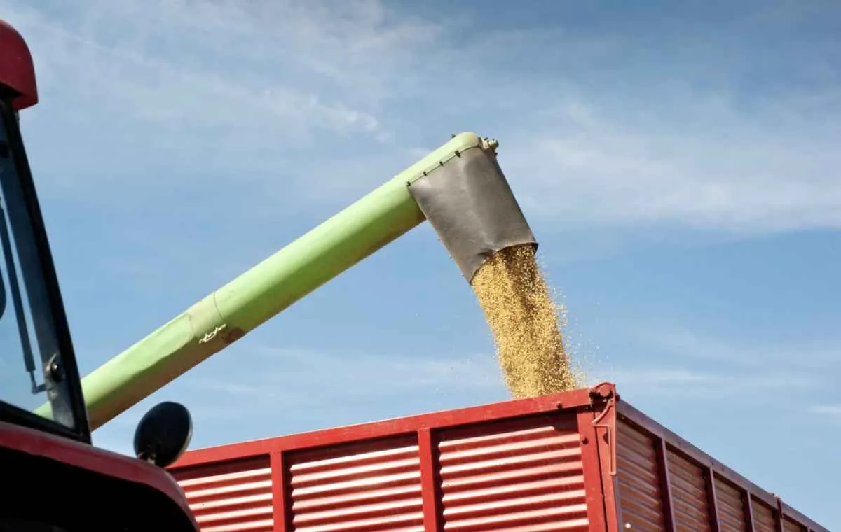 Produtores do RS intensificam colheita da soja antes da chegada da chuva