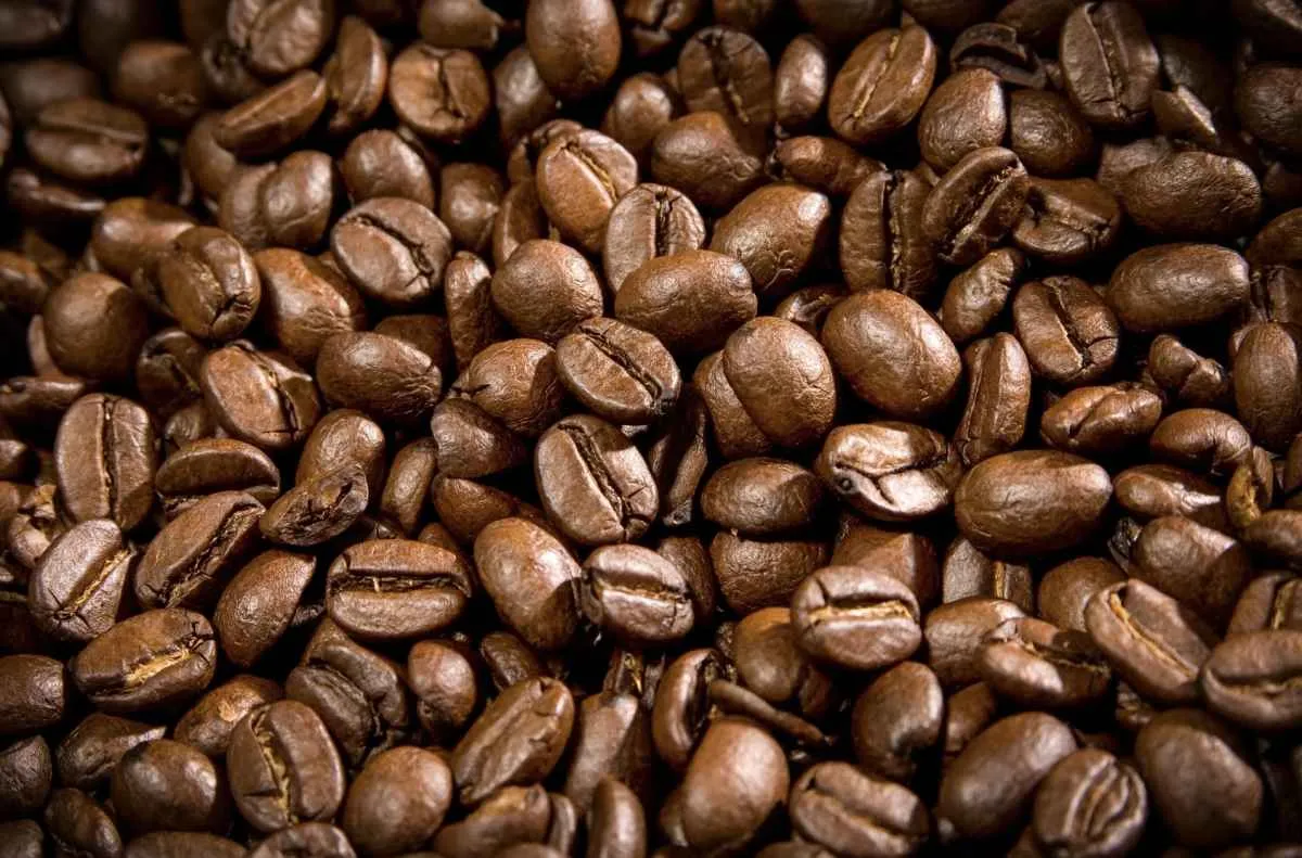 Safra 24/25 registra exportações recordes de café