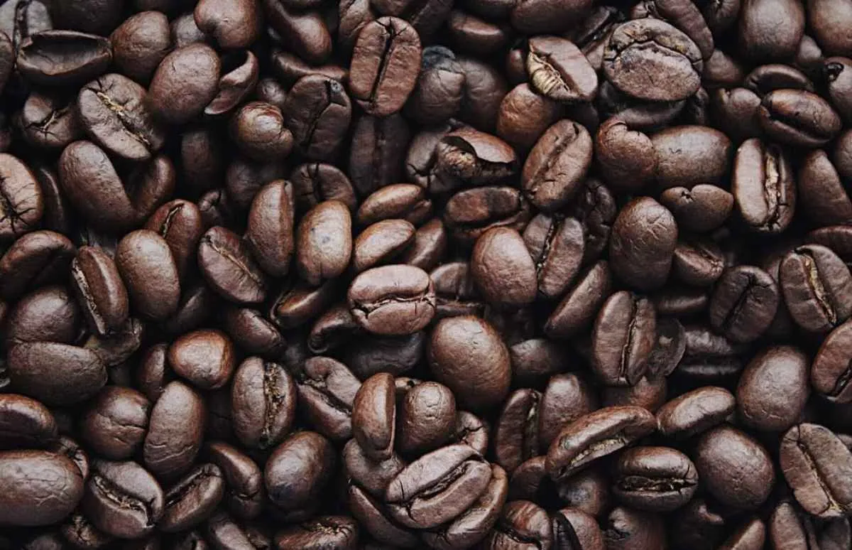 Safras e Mercado eleva estimativa da safra brasileira de café para 65,51 milhões de sacas