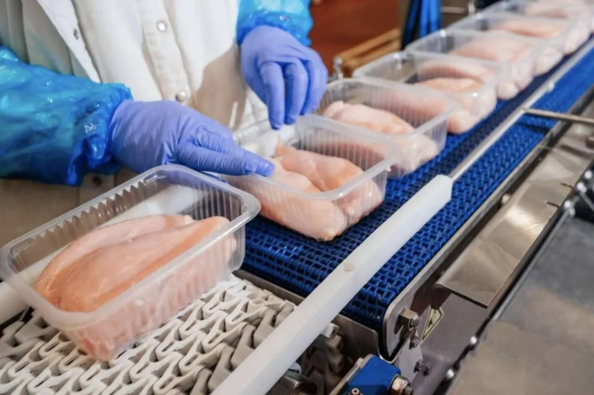 China, União Europeia e Argentina anunciam suspensão de compras de produtos avícolas do Brasil