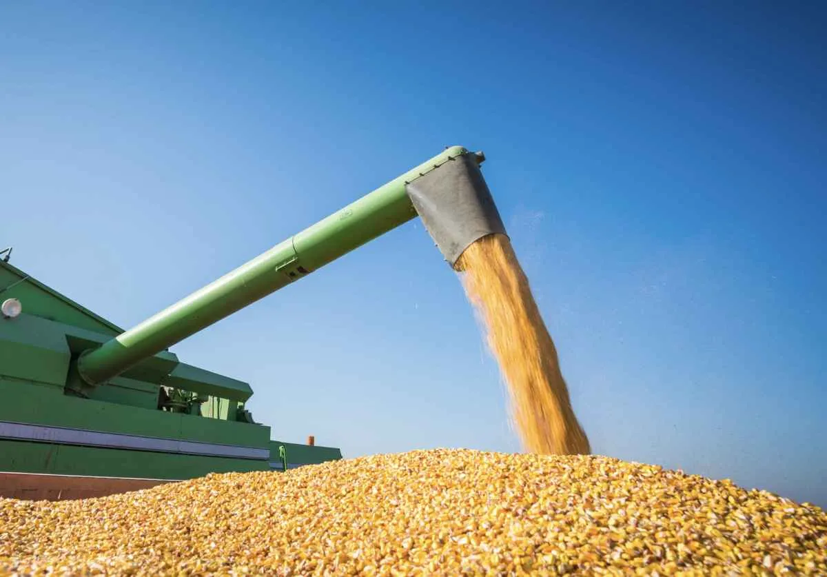 Safra de grãos deve alcançar 332,9 milhões de toneladas, impulsionada por boa produção