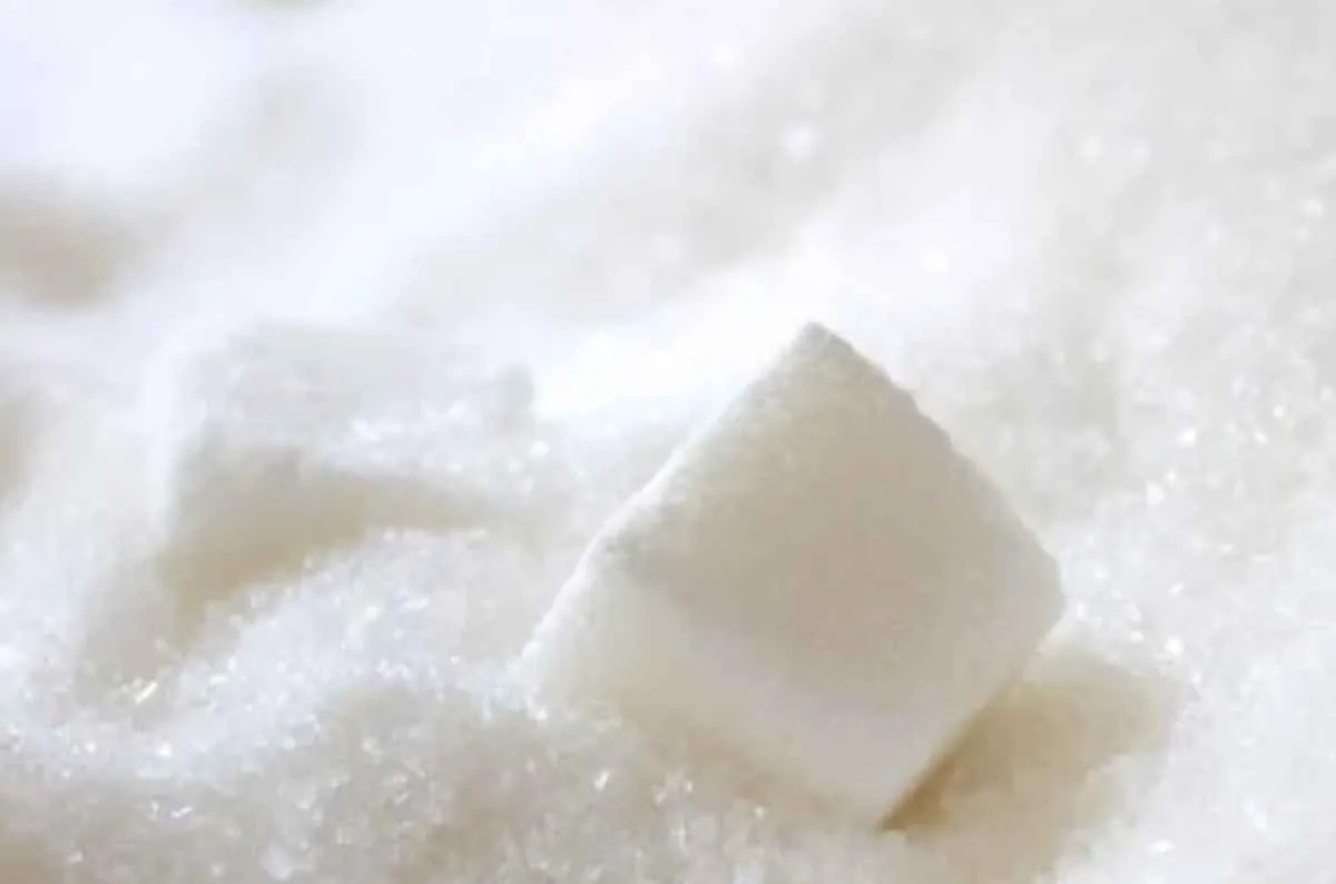 Nova safra de cana avança, mas oferta de açúcar cristal de qualidade ainda é limitada