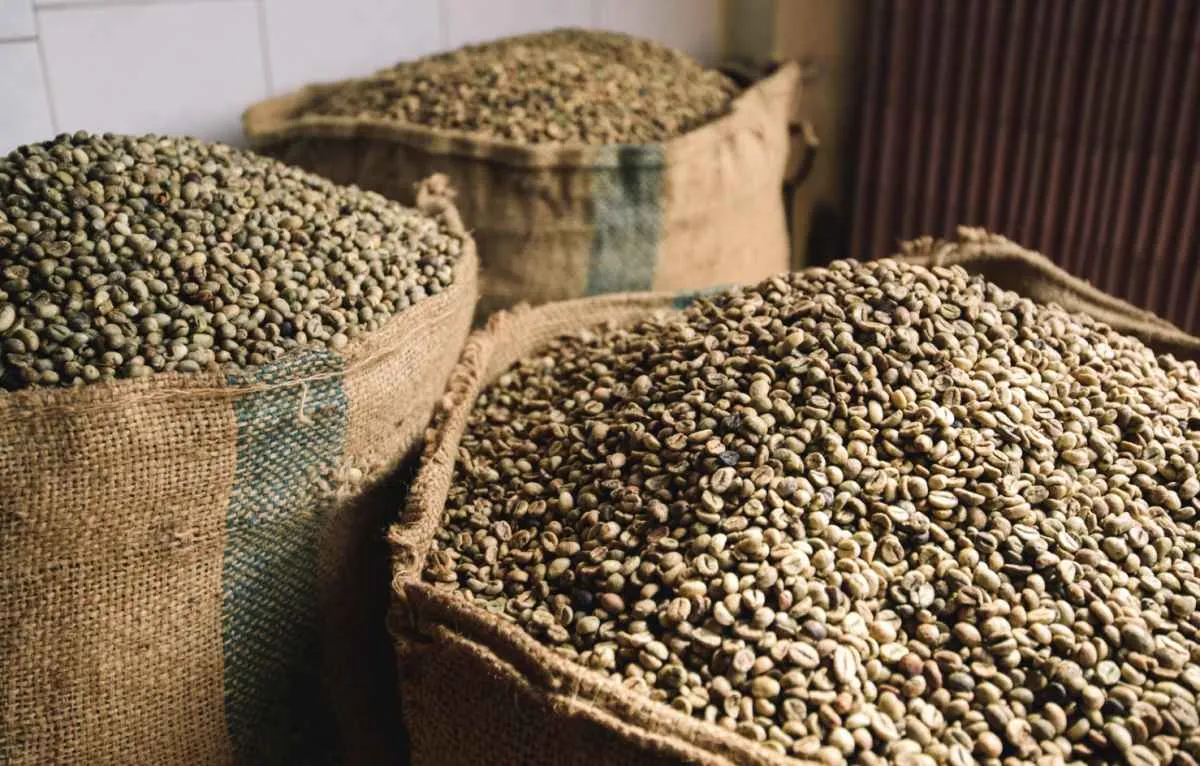 Importações de café pela União Europeia desaceleram em 2025, aponta análise da Hedgepoint