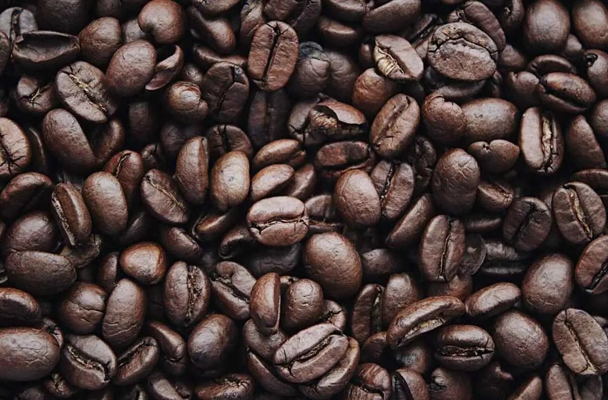 Queda no preço do café robusta marca abril, mesmo com oferta enxuta