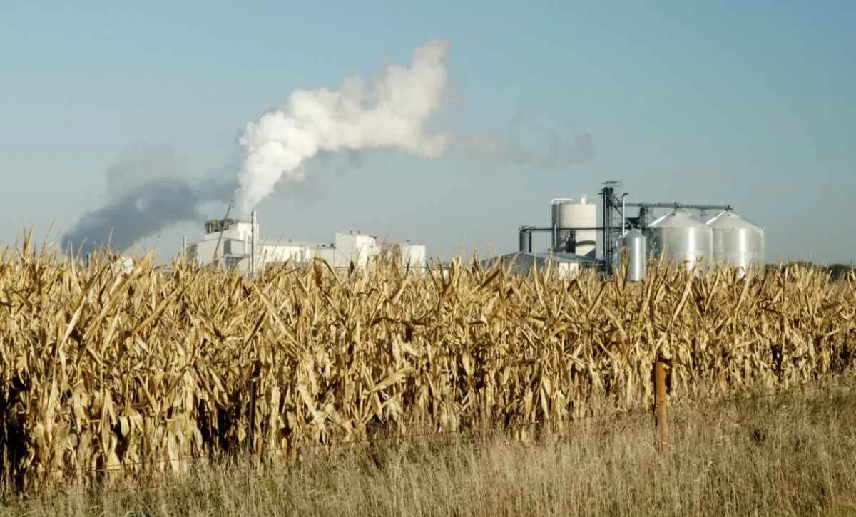 Agroindústria tem alta de 1,6% no 1º trimestre, segundo FGVAgro