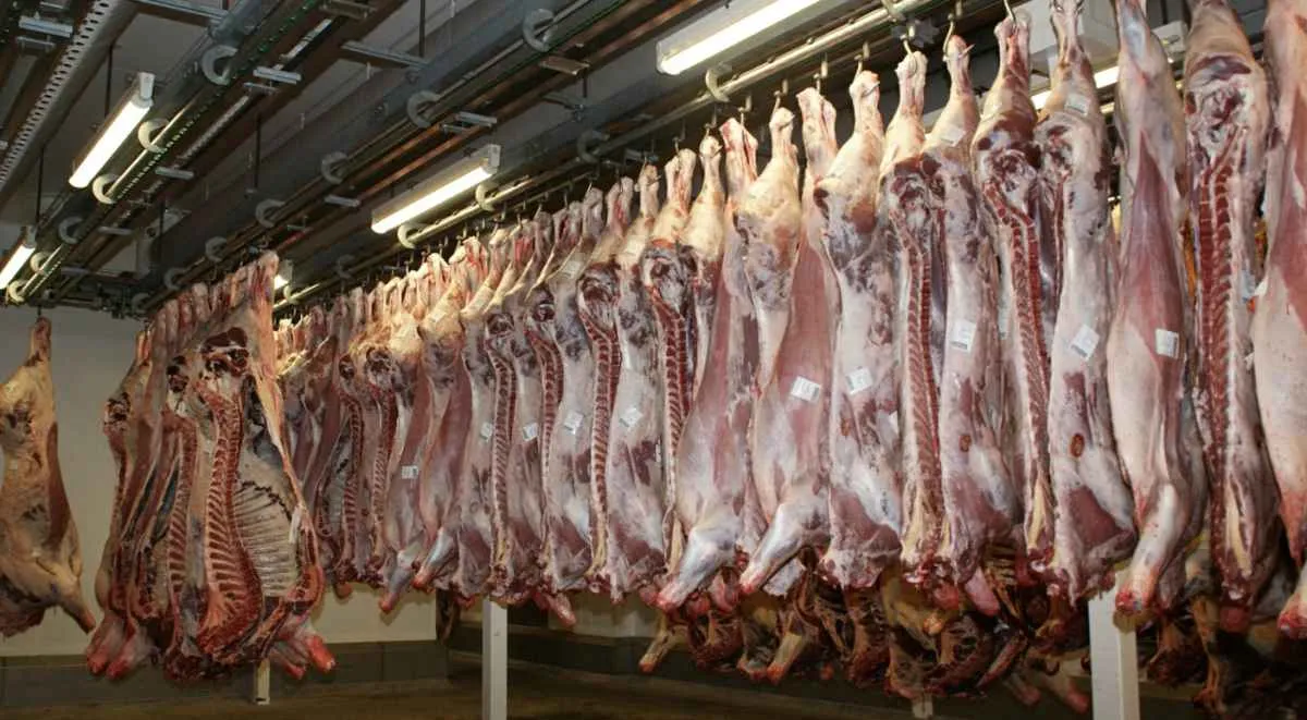 Exportações de carne bovina avançam mais que a produção no 1º trimestre