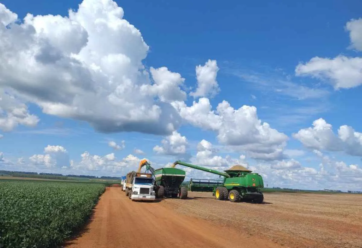 Soja e milho impulsionam crescimento do agronegócio em abril no Mato Grosso do Sul