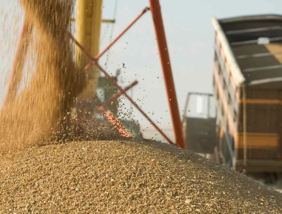 CNA destaca importância do vazio sanitário e da janela de plantio da soja para a próxima safra
