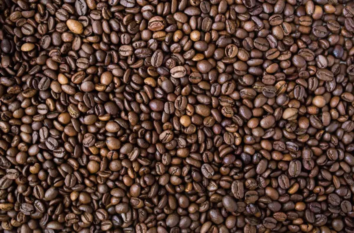 Clima e colheita pressionam preços do café, apesar de exportações firmes