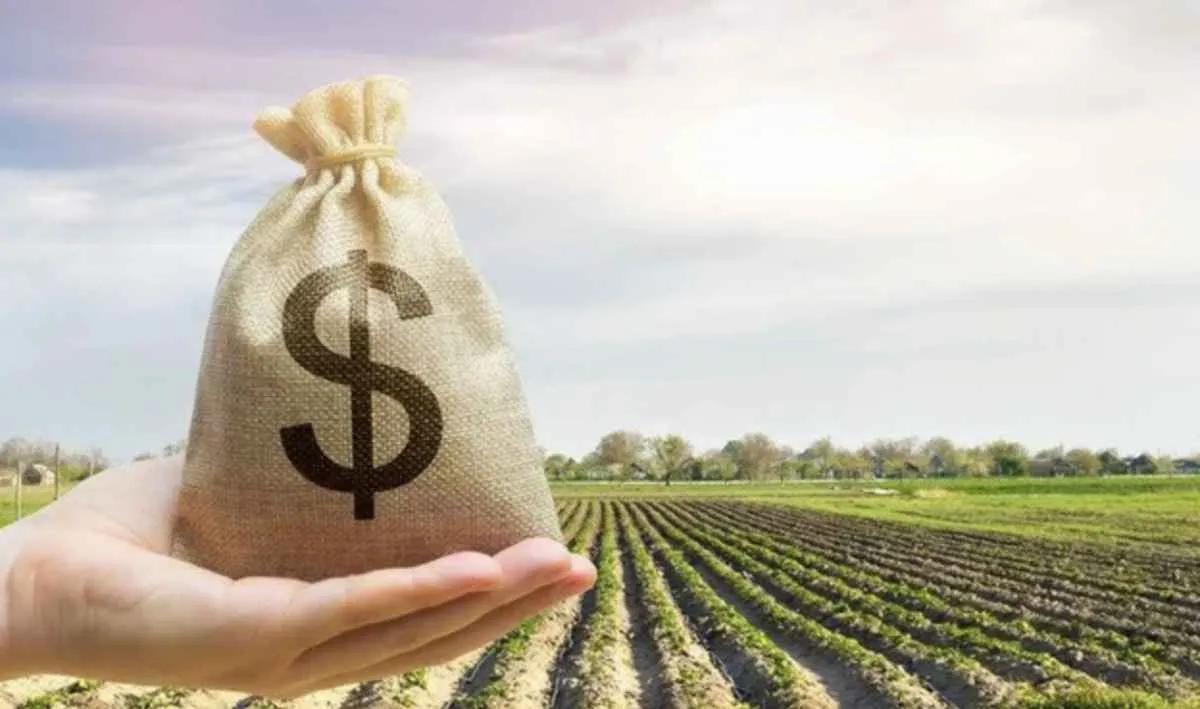 Índice de Preços ao Produtor cai 0,62% em março