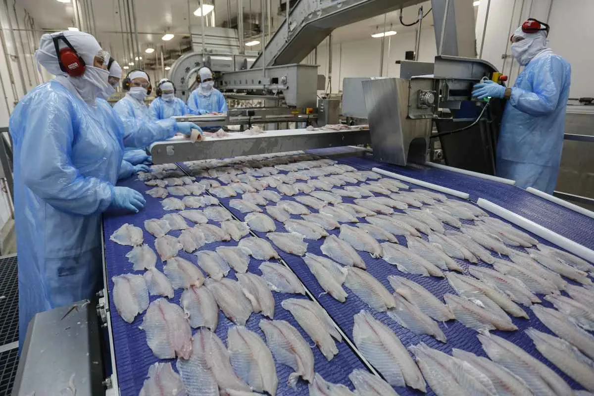Exportações de pescados do Paraná crescem mais de 4.600% em cinco anos