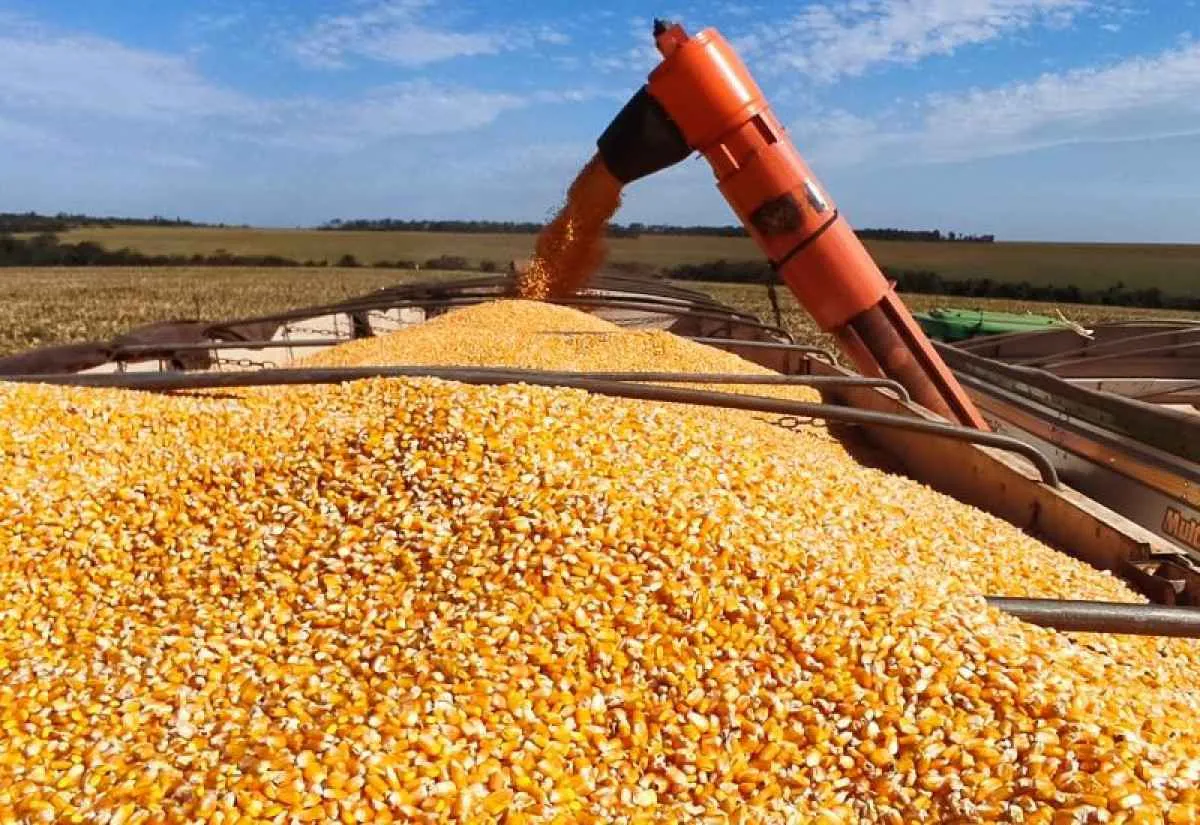 Produção de etanol de milho cresce no Brasil e coloca Mato Grosso do Sul entre os líderes do setor