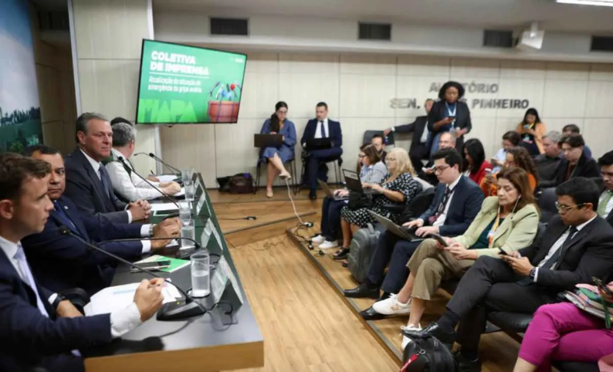 Governo reforça confiança no sistema sanitário após foco de influenza aviária