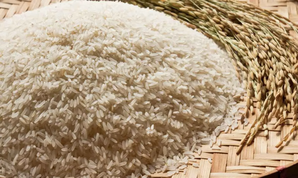Exportações de arroz beneficiado crescem 82% em maio e somam 92,2 mil toneladas