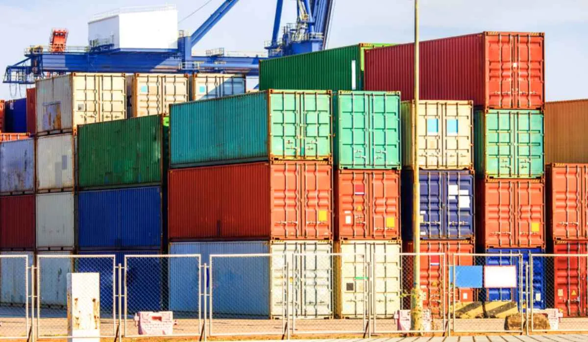 Exportações de carne suína crescem 13,7% em maio e batem recorde no ano