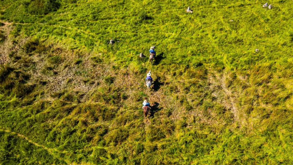 Famato reforça alerta sobre proibição do uso do fogo no Pantanal a partir de junho
