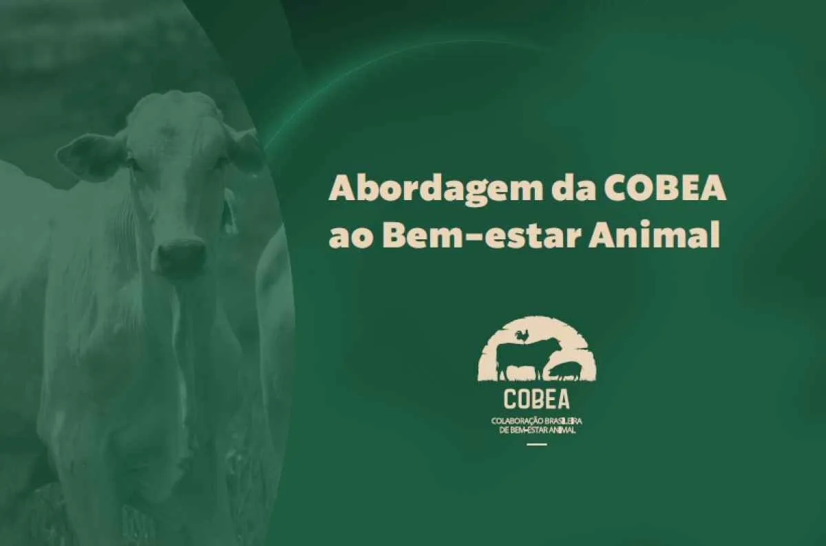 Coalizão brasileira lança manifesto por avanços no bem-estar animal