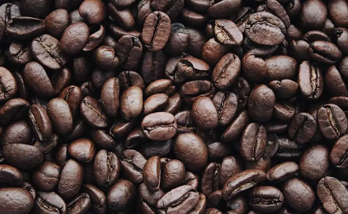 Com colheita acelerando no Brasil, preços do café recuam com menor risco de geada