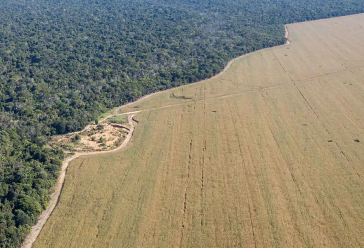 Produtor rural não é obrigado a vender terras, mesmo em áreas sob avaliação no Oeste do Paraná