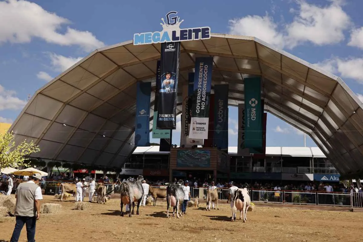 Maior feira do leite da América Latina começa em BH