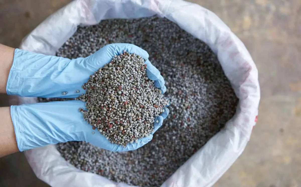 Tensão entre Irã e Israel eleva alerta sobre custos de fertilizantes no Brasil