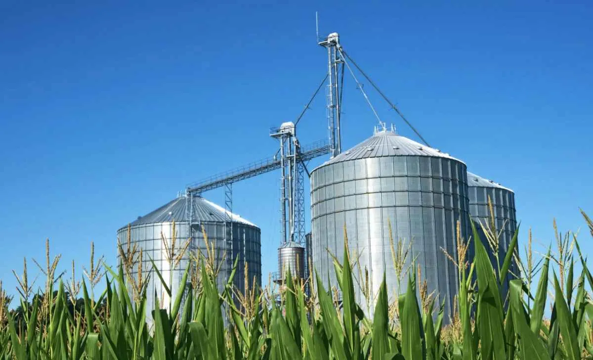 Capacidade de armazenagem agrícola cresce 2,1% e atinge 227,1 milhões de toneladas no 2º semestre de 2024