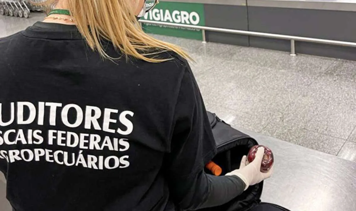 Auditores fiscais agropecuários comemoram 25 anos de atuação estratégica no Brasil