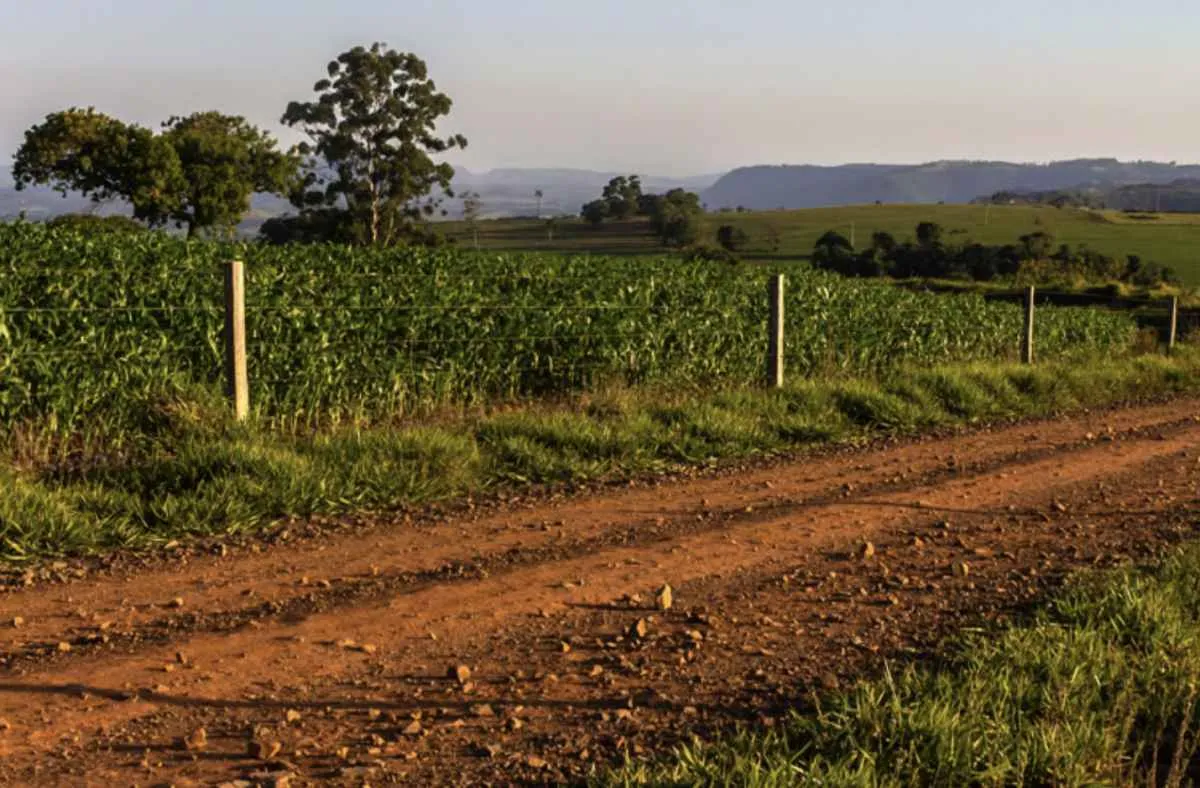 FAEP acompanha decisão judicial que anula registros de imóveis no Oeste do Paraná