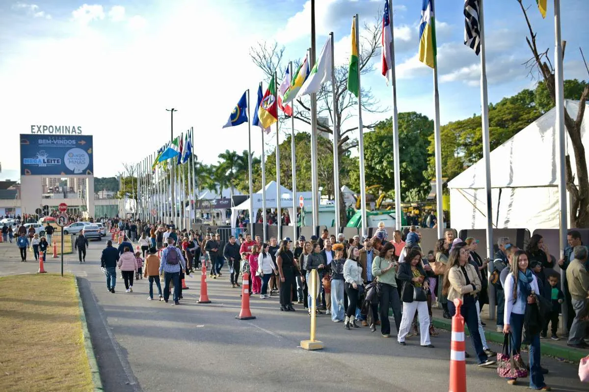Regiões da Canastra e da Mantiqueira vencem votação popular do Festival do Queijo