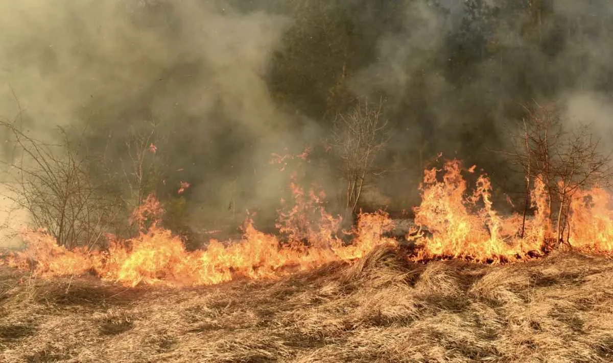 Sistema Faeg/Senar/Ifag amplia ações de prevenção a incêndios no campo