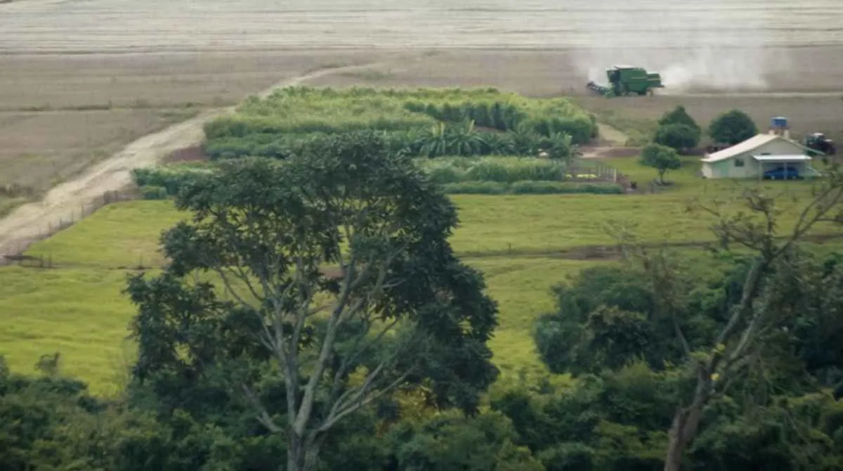 Produtores rurais do PR enfrentam novas exigências ambientais e regras para uso do fogo