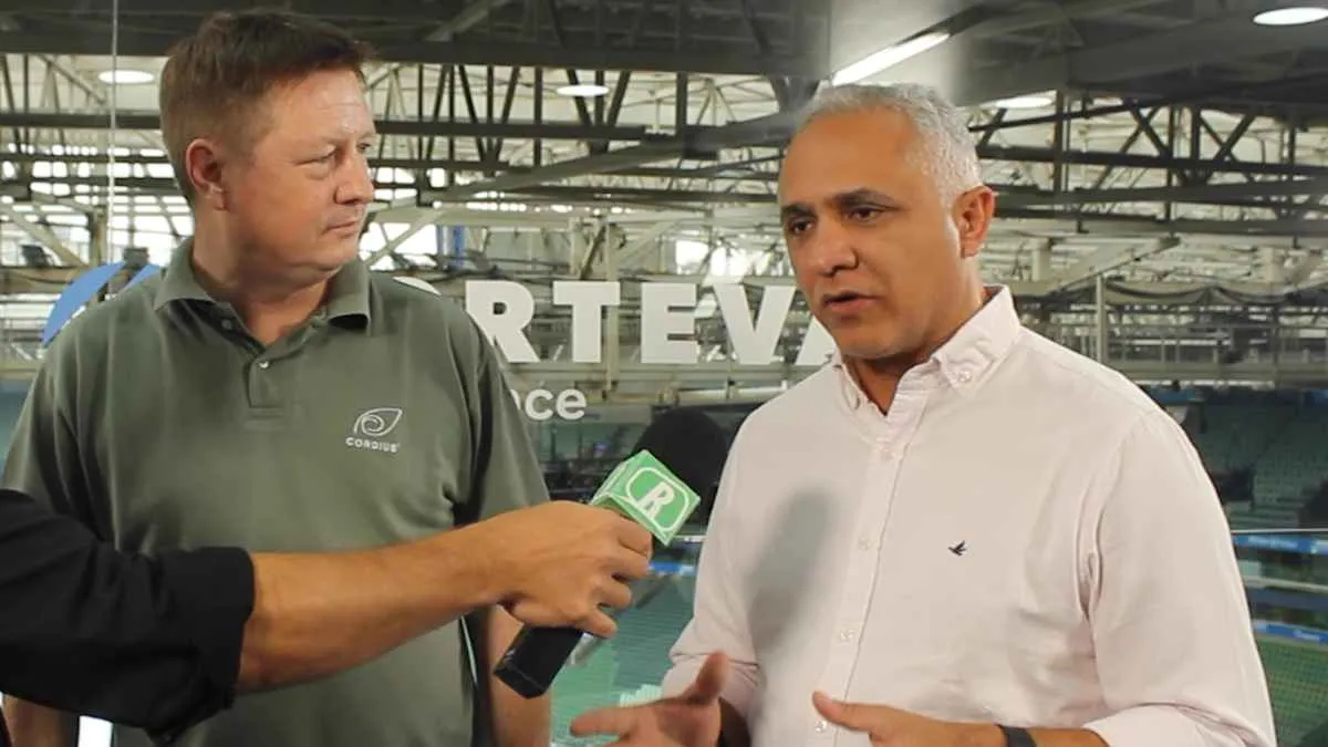 Sementes piratas: um péssimo negócio para produtor rural e para o mercado