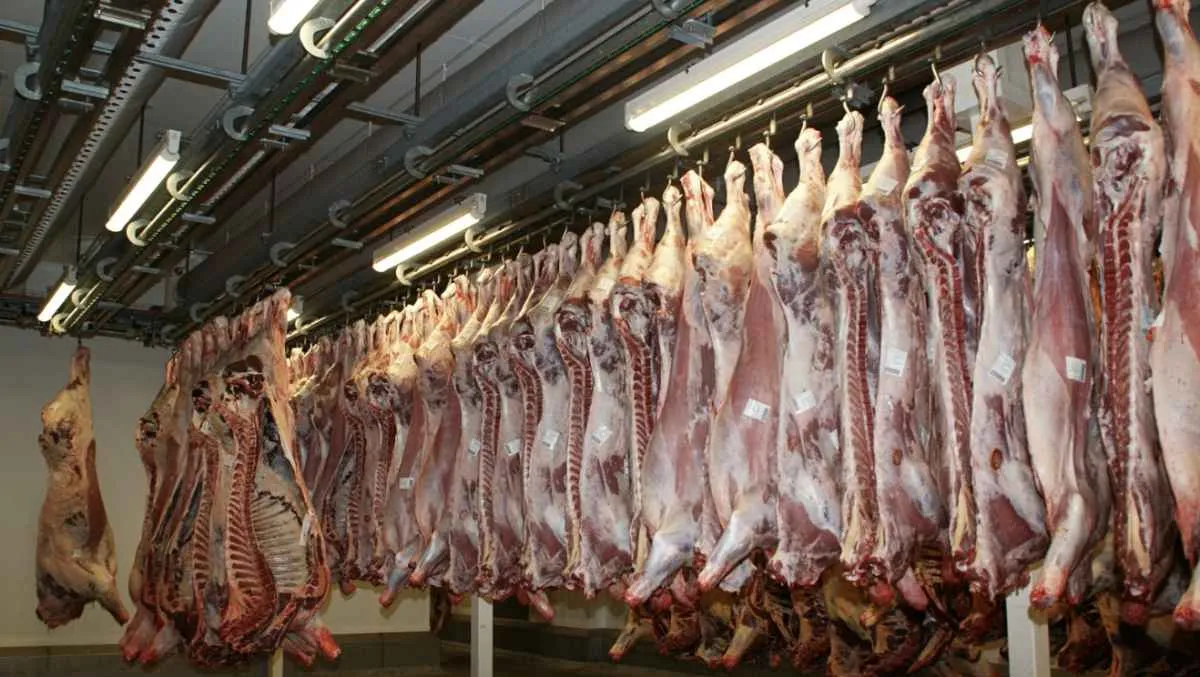 Exportações de carne bovina sustentam preços da arroba em maio, aponta Imea