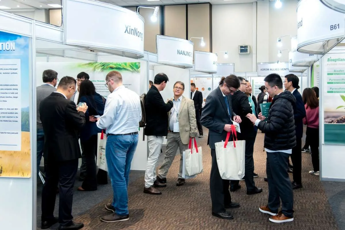 Os recursos obtidos com a inscrição para participar do evento são revertidos para doação de cestas básicas para a ONG CrêSer, de São Paulo. Em 2024, foram arrecadados 11 toneladas de alimentos. Foto: Assesoria/Divulgação