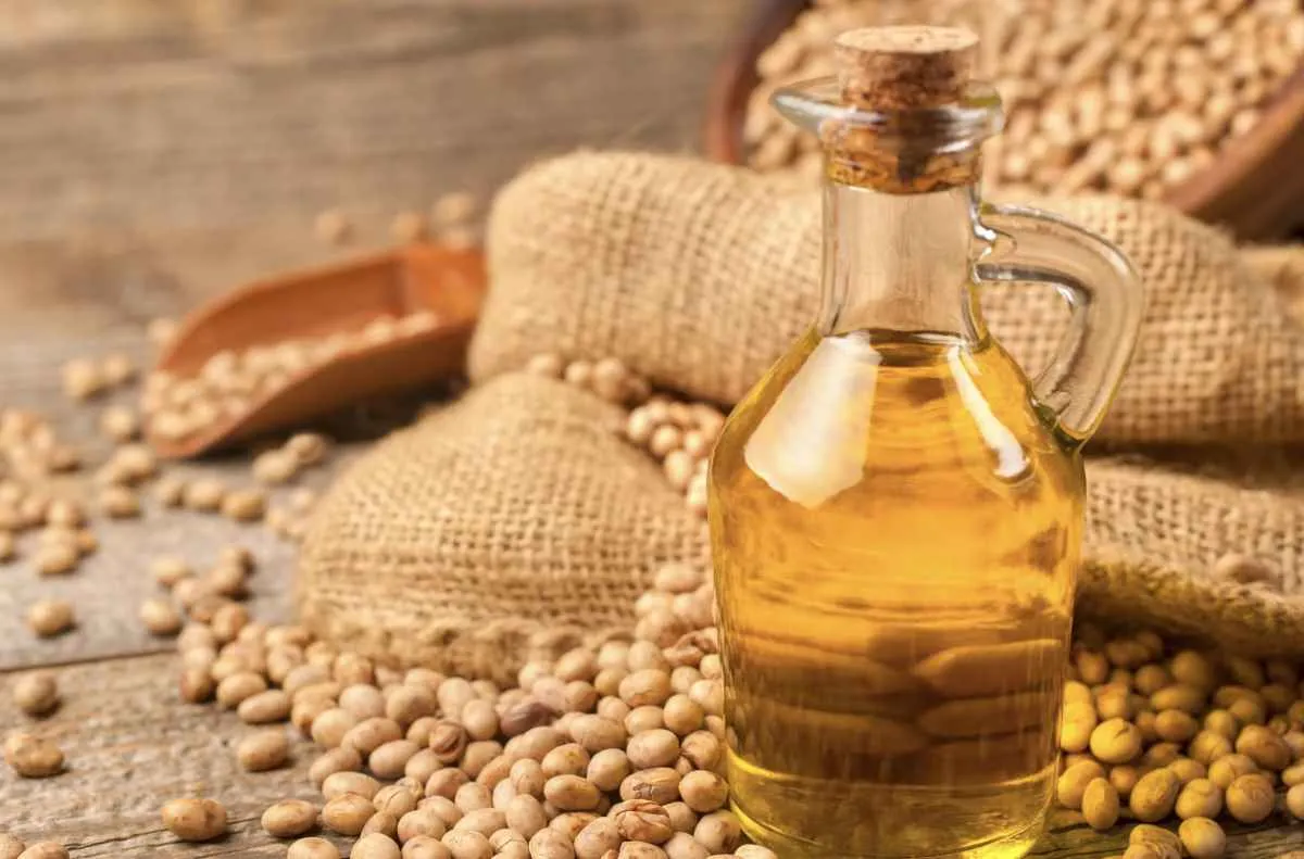 Possível aumento na demanda por biodiesel impulsiona preço do óleo de soja no Brasil